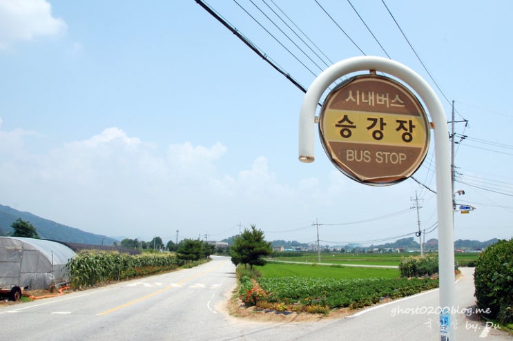 국원성 가는 길 - 여정