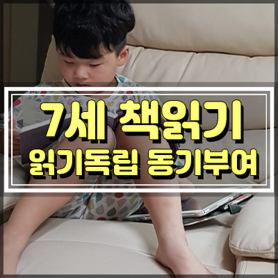  7세 읽기독립 동기부여 다양한 장르 책읽기