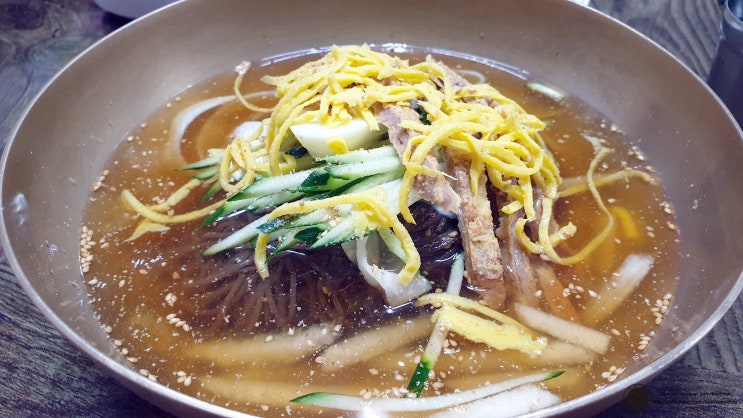  함안 황포냉면 육전 맛집