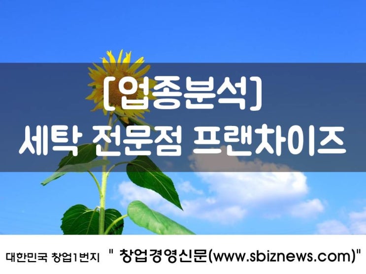  창업 업종분석, 세탁 전문점 한 번에 정리!