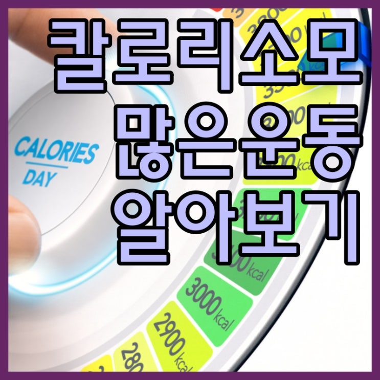  칼로리 소모 많은 운동