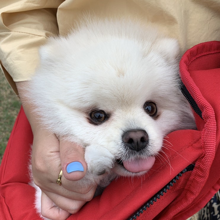  주인공은 나야나