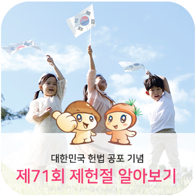  대한민국 헌법 공포 기념일 제71회 제헌절 알아보기