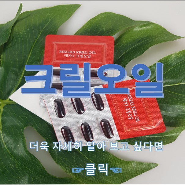  크릴오일 과 크릴오일먹는법 에 대해 알려드릴께요~!!