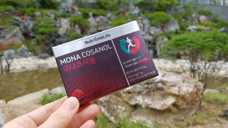  폴리코사놀20mg :: 뉴트리원 모나코사놀