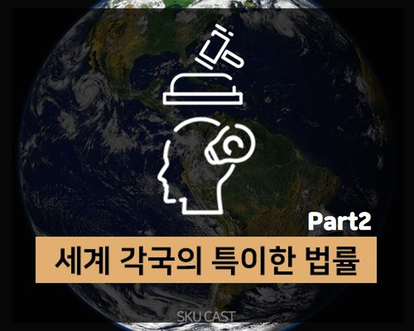  5대 국경일 제헌절 기념, 해외의 이상하고 특이한 법 Part.2