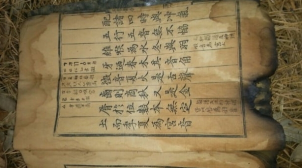 2008년 집 수리하다 발견 훈민정음 해례본 상주본(훈민정음 한문 해설서) 간송본보다 학술적 가치 높다고 평가! '훈민정음 상주본 잘 있냐'는 질문에 배익기씨 대답?
