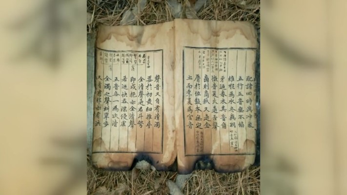  대법 훈민정음 상주본?