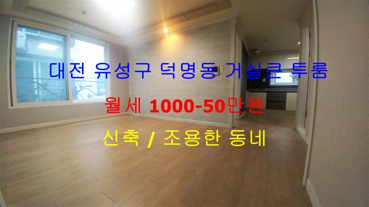  (대전 유성구 덕명동) 미로공원 옆 조용한 동네에 있는 신축 ! 구조이쁜 거실큰 투룸 저렴한 월세 매물입니다 ^^