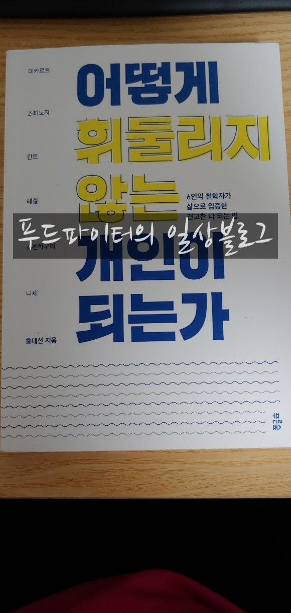  철학은 어렵지 않습니다 쉽게 접근하는 교양서, 어떻게 휘둘리지 않는 개인이 되는가 서평