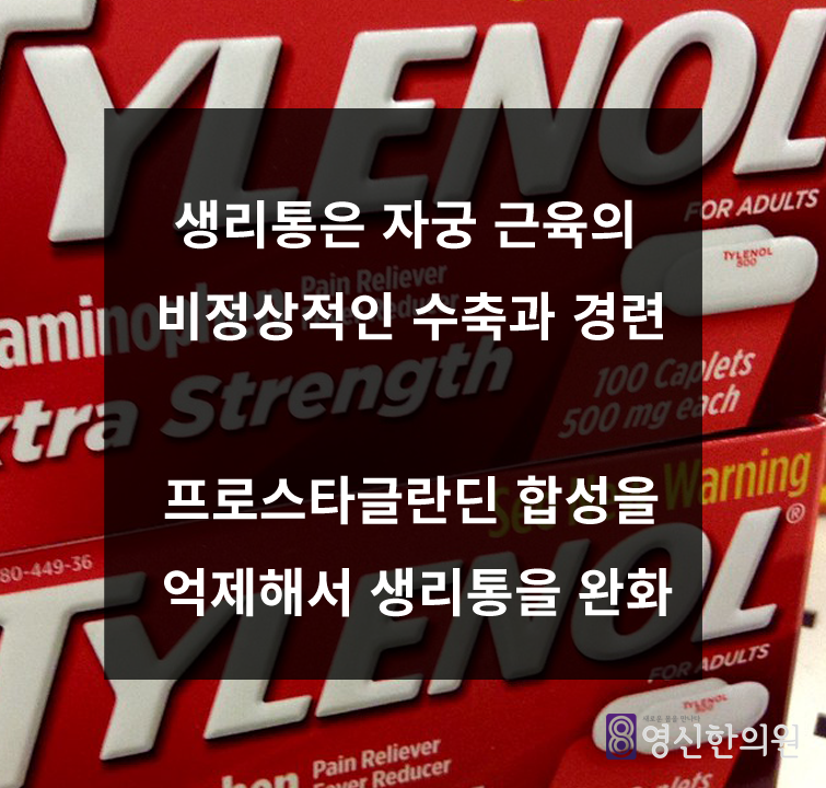 여성의 생리통에 대한 타이레놀의 5