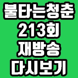 불타는 청춘 새친구 213회 재방송 편성표 다시보기 방송시간