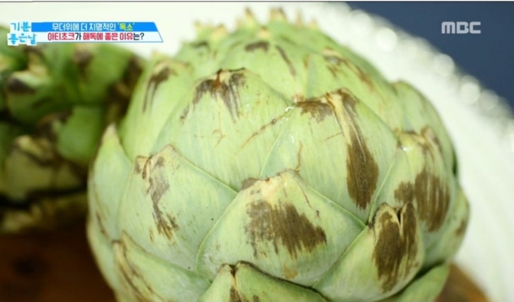  면역력과 해독의 끝판왕 아티초크 효능 - MBC기분좋은날 방영