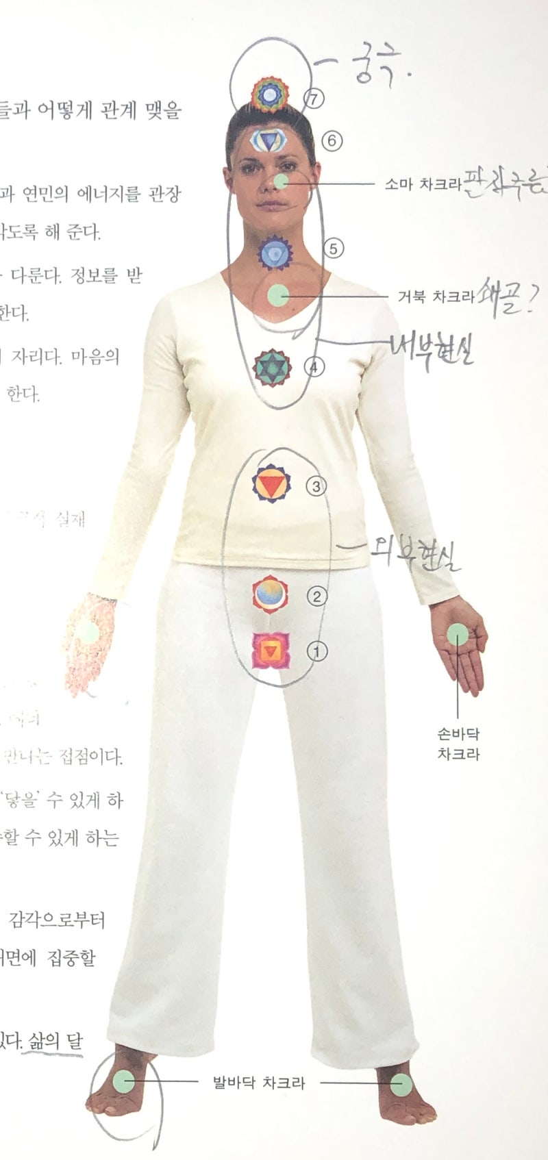 #58) 차크라의 힘, 편안해지는 물라다라 차크라 : 네이버 블로그