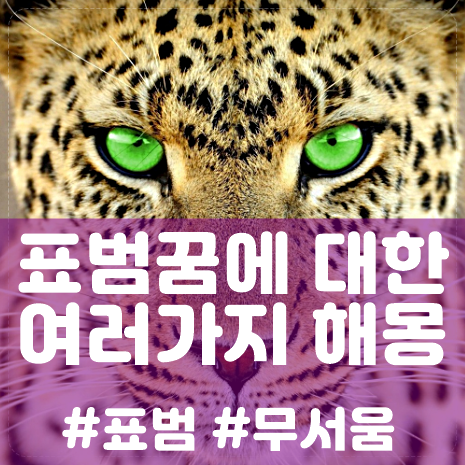 표범꿈에 대한 여러가지 해몽