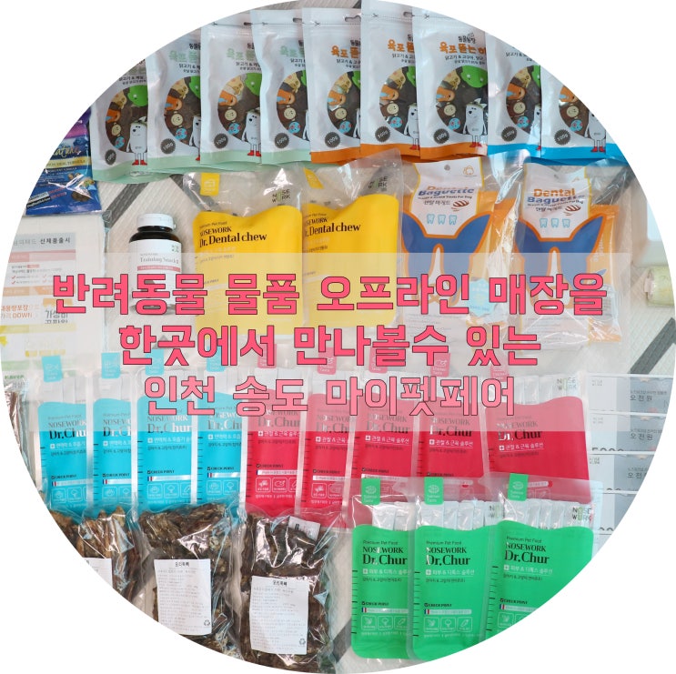  [마이펫페어] 반려동물과 함께 즐기자, 인천 송도 마이펫페어 다녀온 후기!