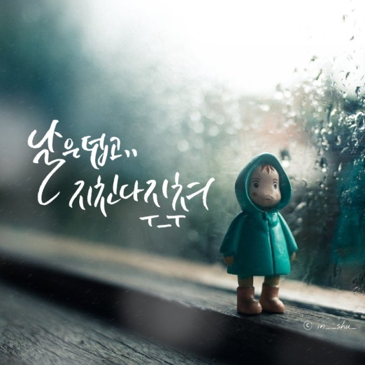  열아홉번째 캘리 <붓펜 배경사진.16>