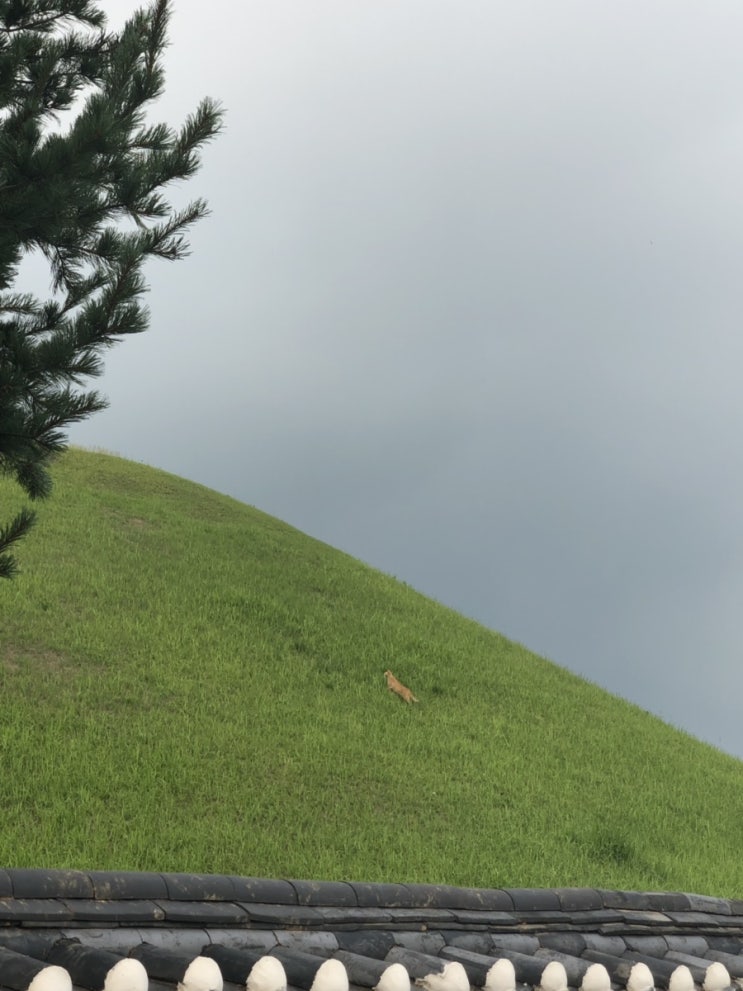  벌써 그리운 시간을 보내고 왔습니다