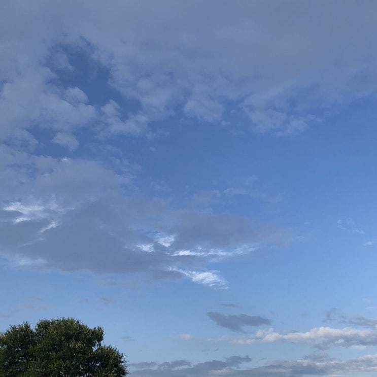  미국 달라스 일상 190708~14