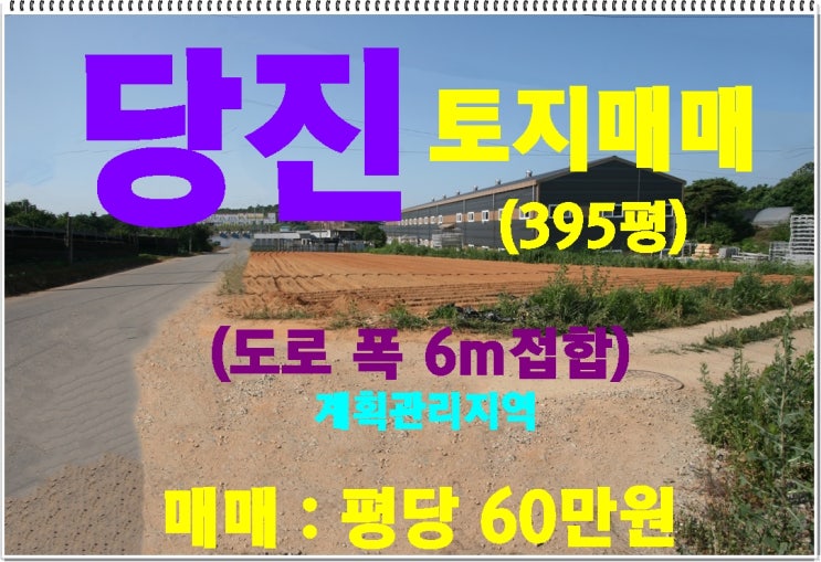  당진토지매매  /  당진시 신평면 거산리 (전 395평)  계획관리지역 으로  도로 폭 6m에 접한 토지!