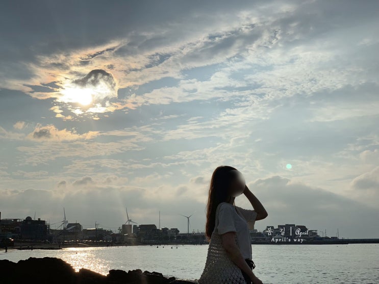  제주도 장마철에도 예쁜 가볼만한곳에서 인생샷 남기기