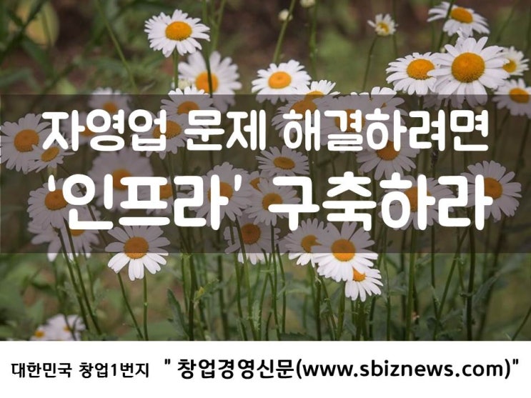  자영업 문제 해결하려면, ‘인프라’ 구축하라