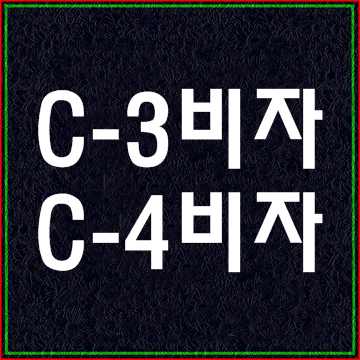 단기비자 C-3비자와 C-4비자의 차이점