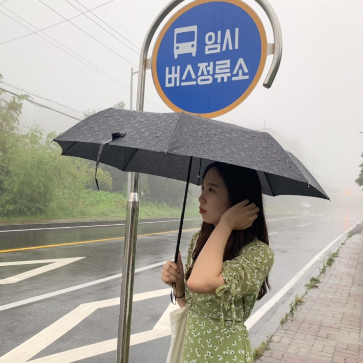  제주,로부터