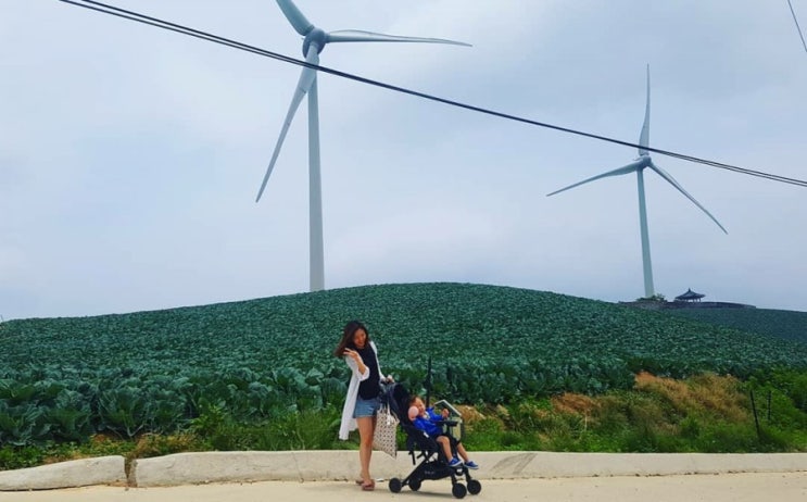  22개월 아기랑 평창여행 -알펜시아평창, 아기동물농장, 월정사, 안반데기