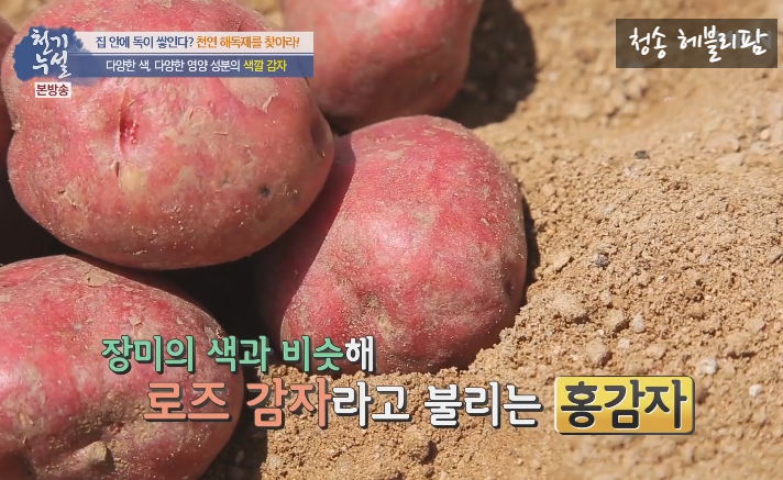 천연 해독제  홍영 감자의 효능