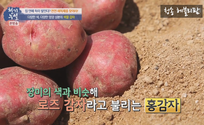  천연 해독제  홍영 감자의 효능