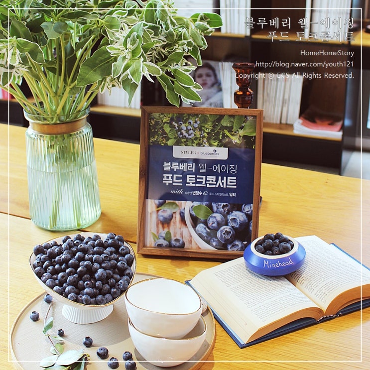  변정수와 함께하는 블루베리 푸드 토크 콘서트  스타일러