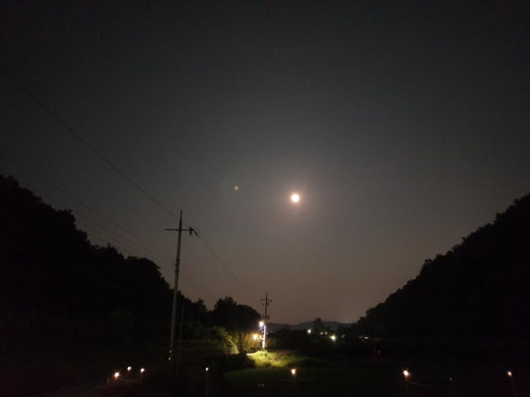  자연의 한조각