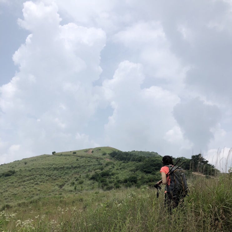  유명산-용문산 7월 월간산행 :: 내 생에 다시는 없고 싶은(?) 연계 산행