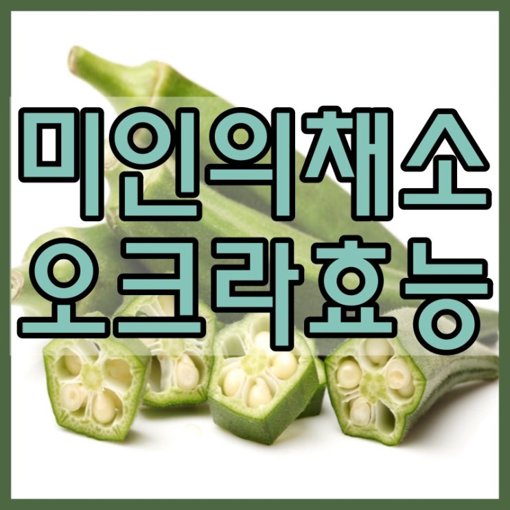  오크라 효능 모두 정리해보았어요~