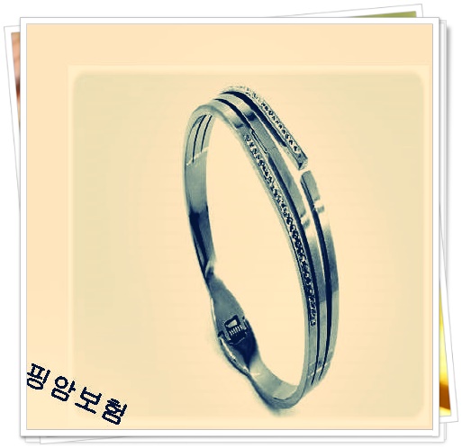  부모님간병비보험  Hint보기