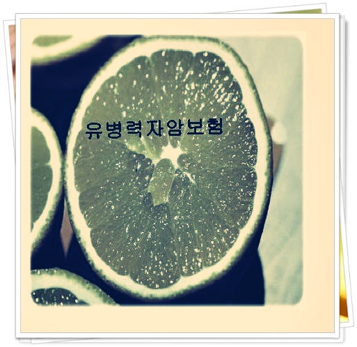  간병비보험  알아보자