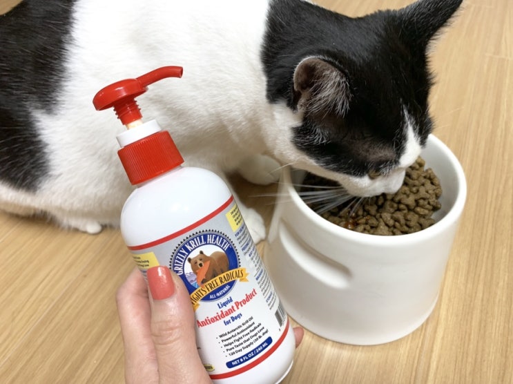  고양이 크릴오일 그리즐리 크릴헬스 from 미국 (고양이 건강 챙기기)