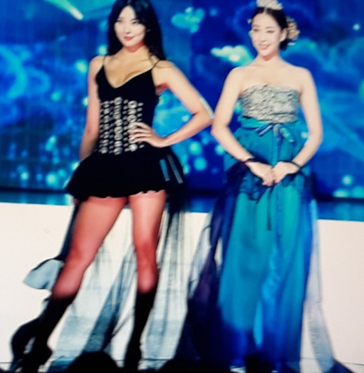  미스코리아 의상 논란