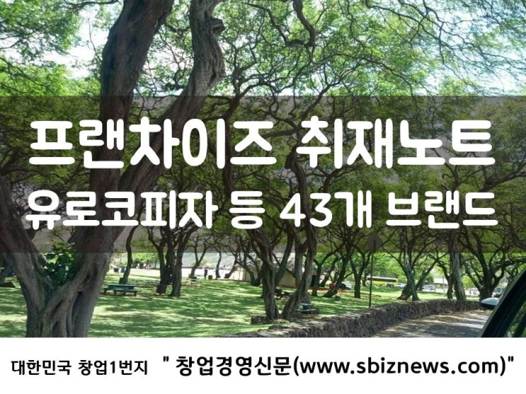  프랜차이즈 취재노트 - 유로코피자 등 43개 창업비용