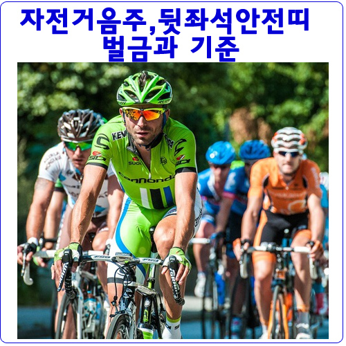 자전거음주단속,전좌석안전벨트 벌금과 기준 자전거음주단속,전좌석안전벨트 벌금과 기준
