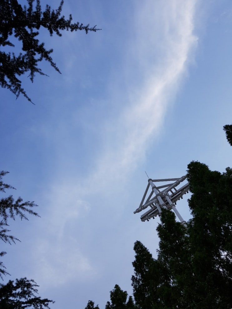  태풍 다나스 경로  부산날씨