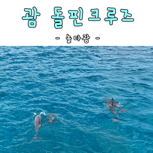  괌 돌핀크루즈 플리퍼 놀다괌 짱재미지다