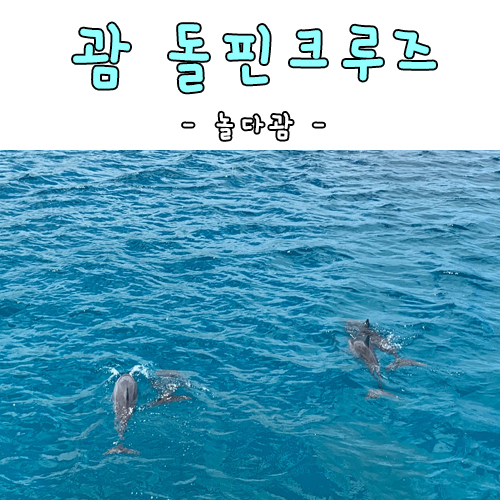 괌 돌핀크루즈 플리퍼 놀다괌 짱재미지다