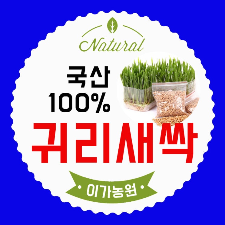  귀리새싹 분말 효능과 파는곳(귀리가루 먹는법)