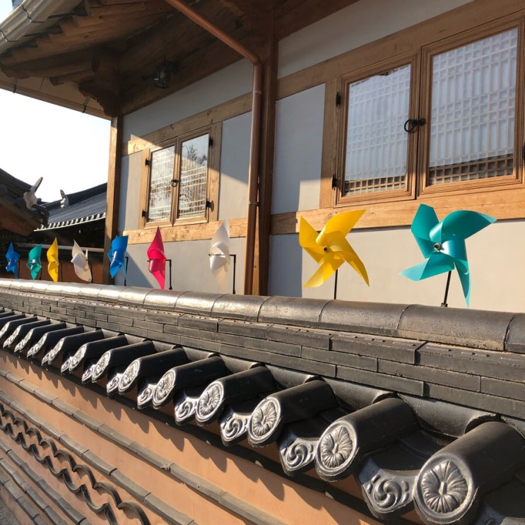  스무살 처음부터 종강까지 뒤죽박죽 -