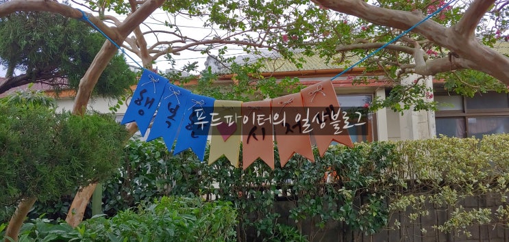  제주도 서귀포시 호근동 신시가지 맛집, 행복한 시저네