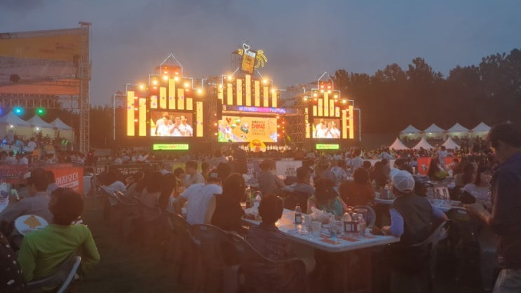  2019 대구 치맥페스티벌 개막식 후기 !
