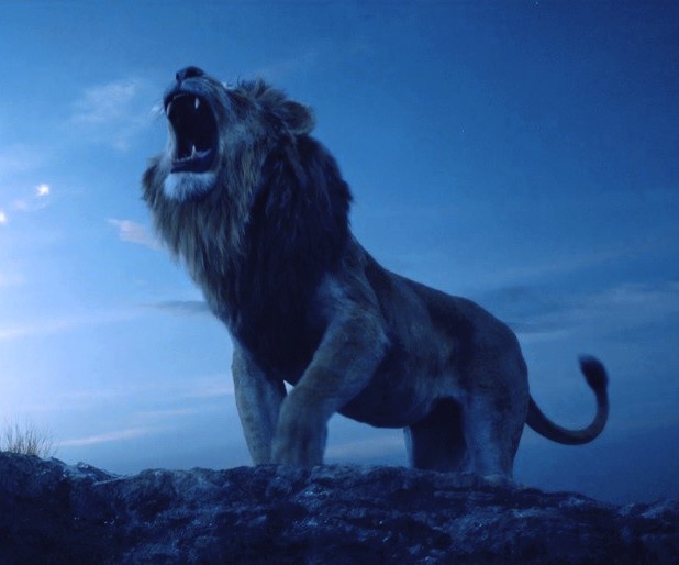  라이온 킹 (The Lion King) 2019 라이브액션 관람 후기 - 쿠키영상X 스포有