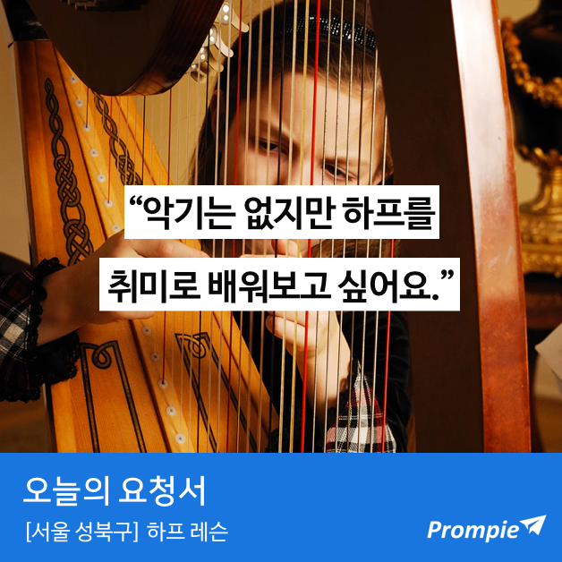  [오늘의 요청서] 서울 성북구 하프 레슨 요청서에 고용된 전문가는 누굴까요?!